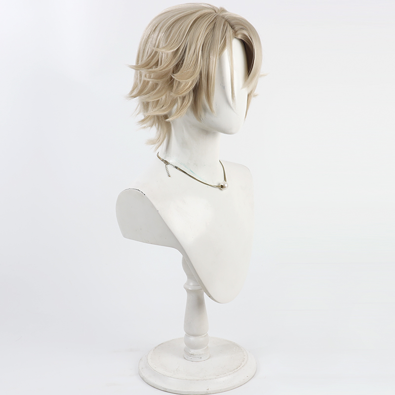 Perruque de Cosplay vecteur po - Anime Cosplay Wig Heat Resistant avis et prix
