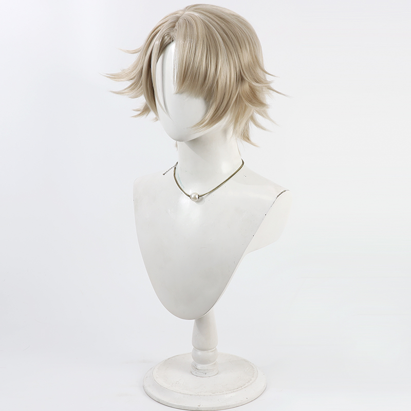Perruque de Cosplay vecteur po - Anime Cosplay Wig Heat Resistant avis et prix