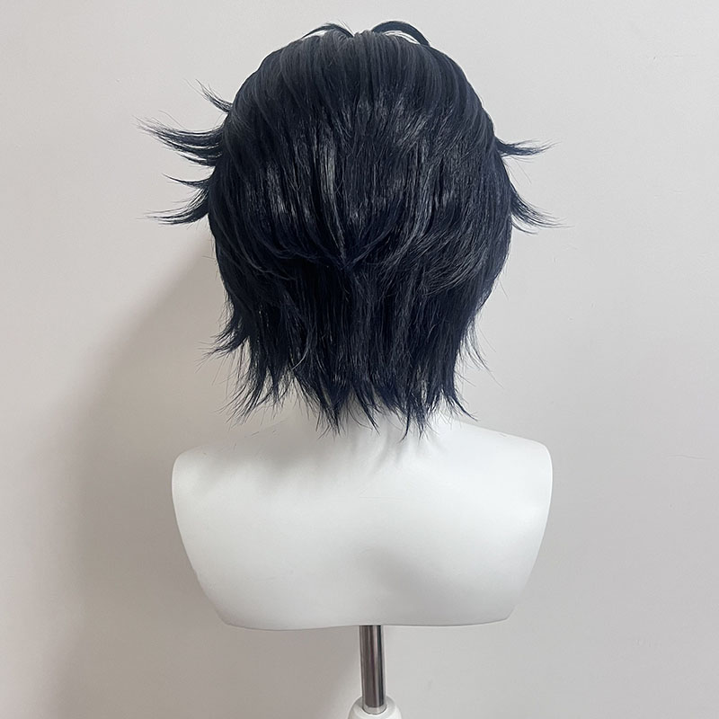 [Perruque stylisée] Perruque d - Anime Cosplay Wig Heat Resistant avis et prix